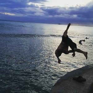 Meet your Posher, Chas